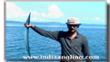 Saltwater Fishing India